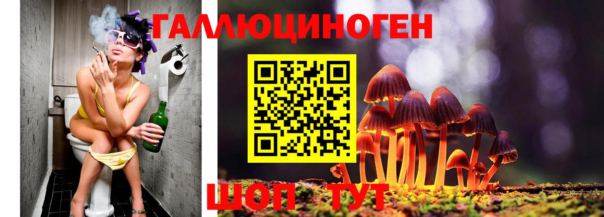 Галлюциногенные грибы Cubensis  Вход с VPN  Урюпинск 